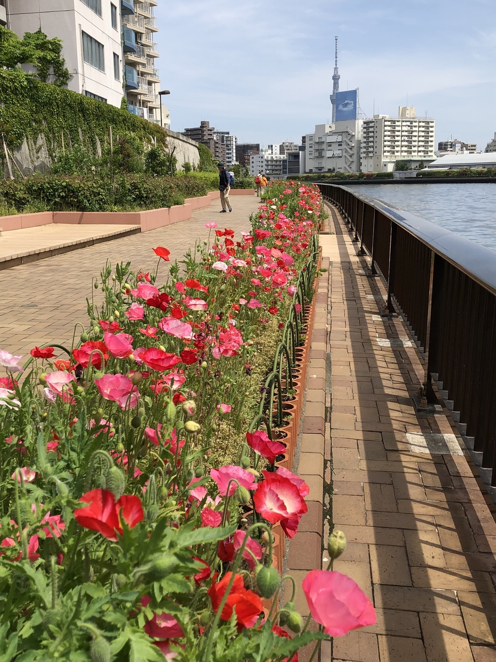 東京駅〜スカイツリー〜雷門の写真6