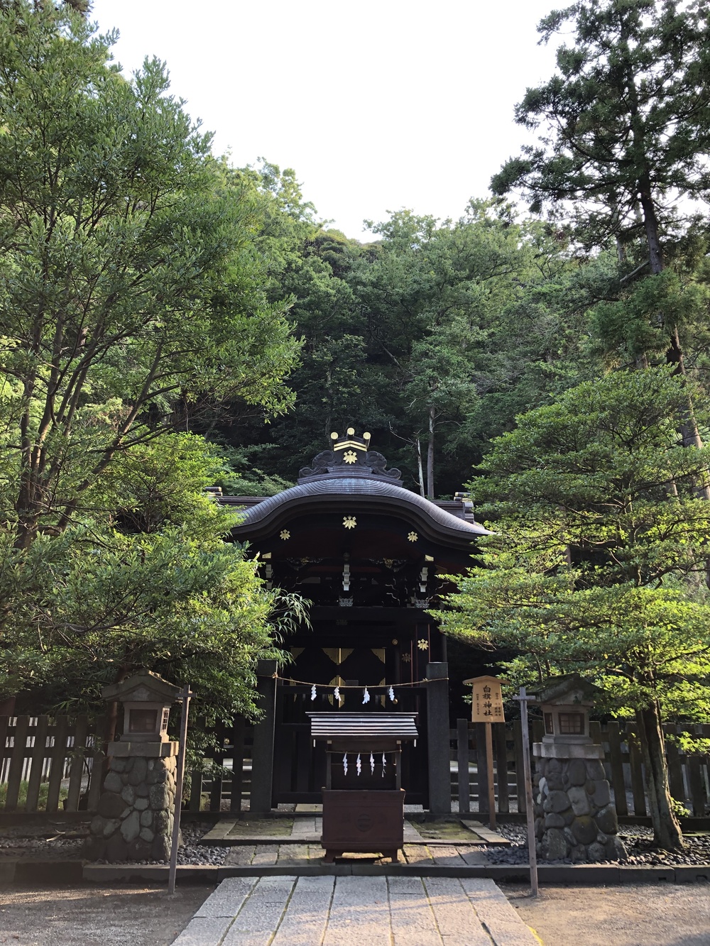 あえて海を見に行かない鎌倉のモーニングランの写真5