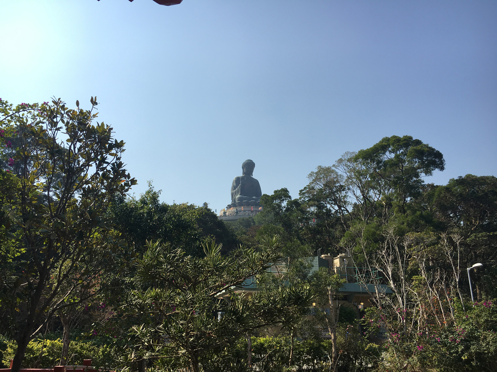 ランタオピーク（香港）の写真4