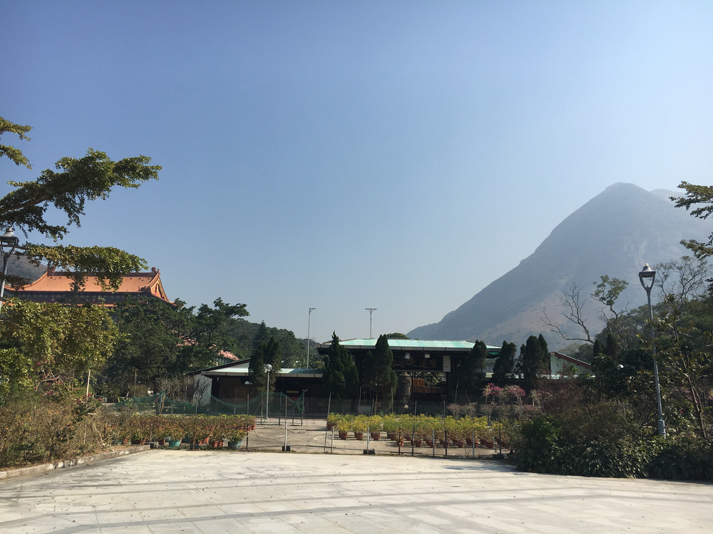 ランタオピーク（香港）の写真5