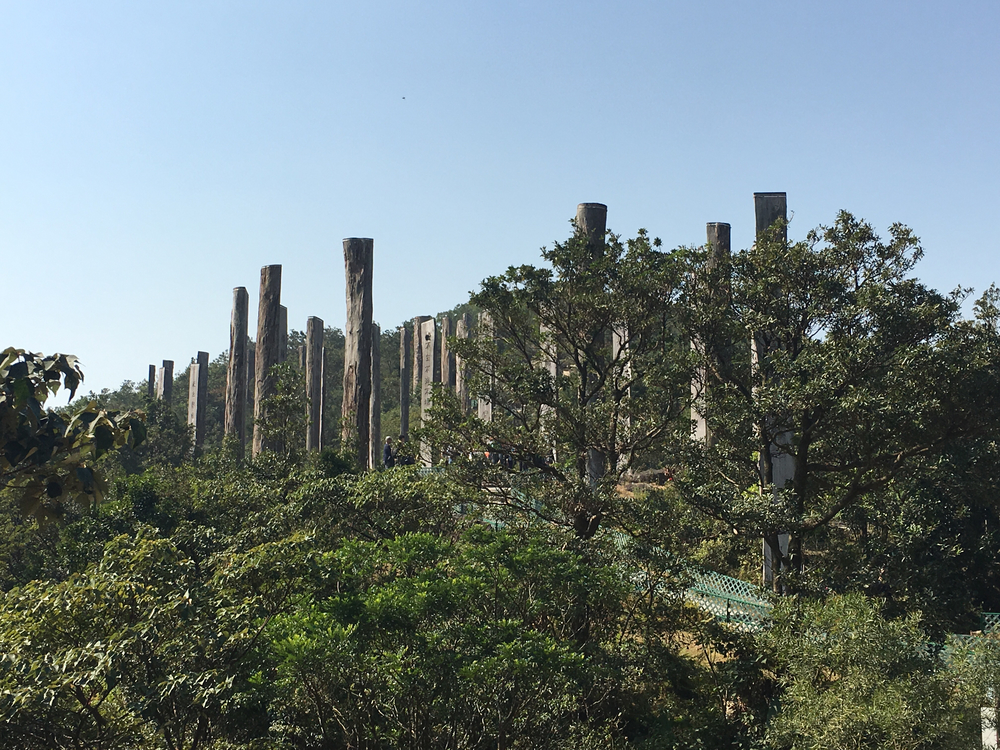 ランタオピーク（香港）の写真10