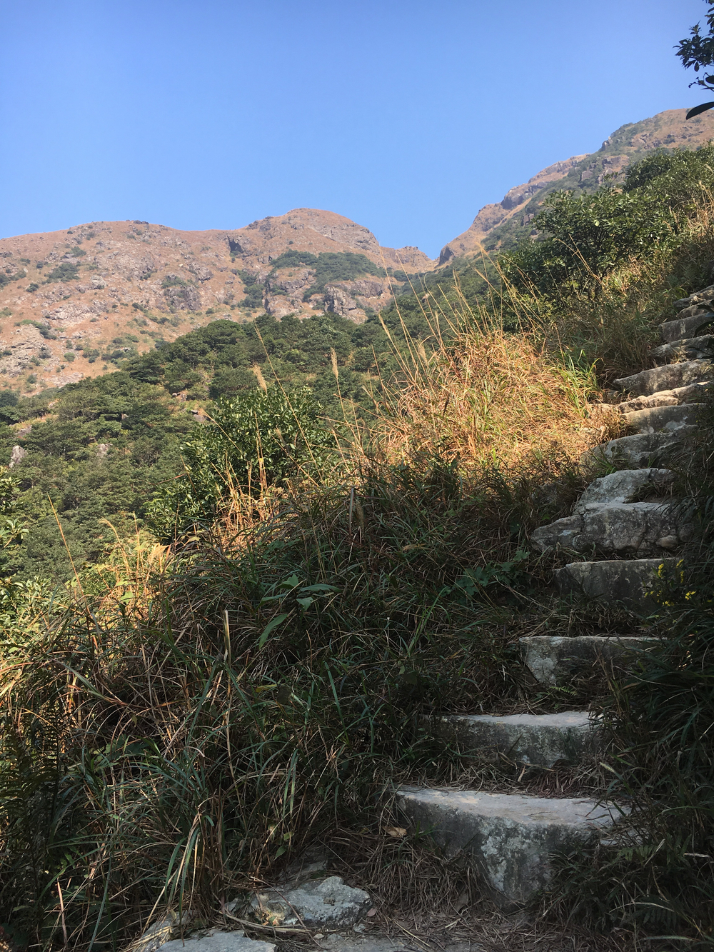 ランタオピーク（香港）の写真14