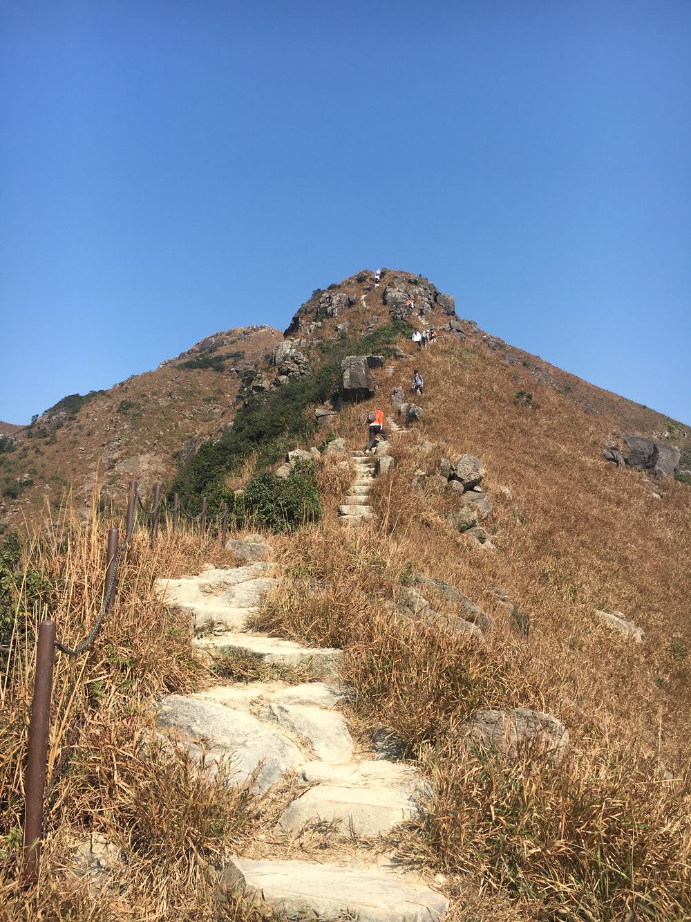 ランタオピーク（香港）の写真17