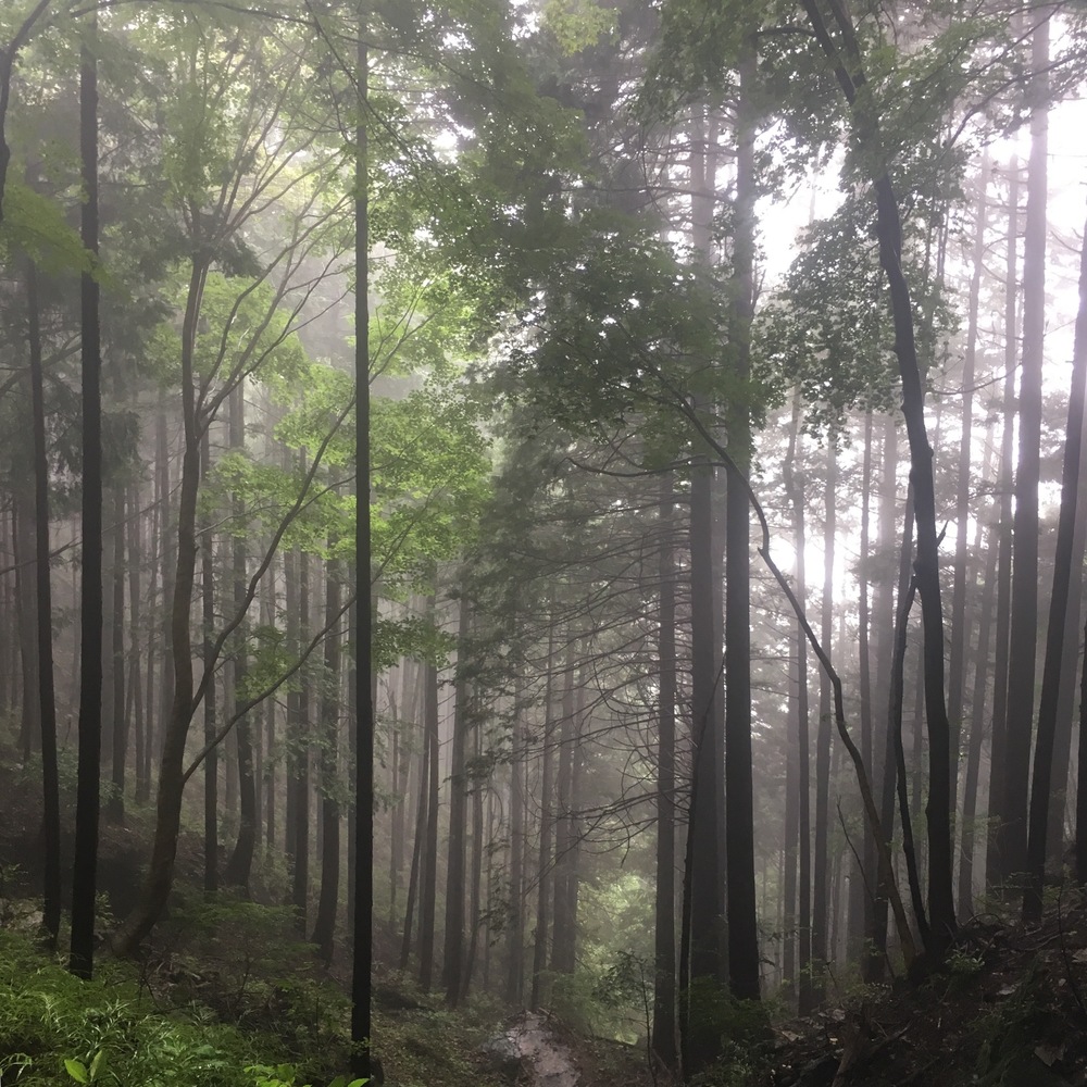 Nishiagano Three Waterfalls loop 12km ~ 白滝・不動の滝・大滝 ~　の写真5