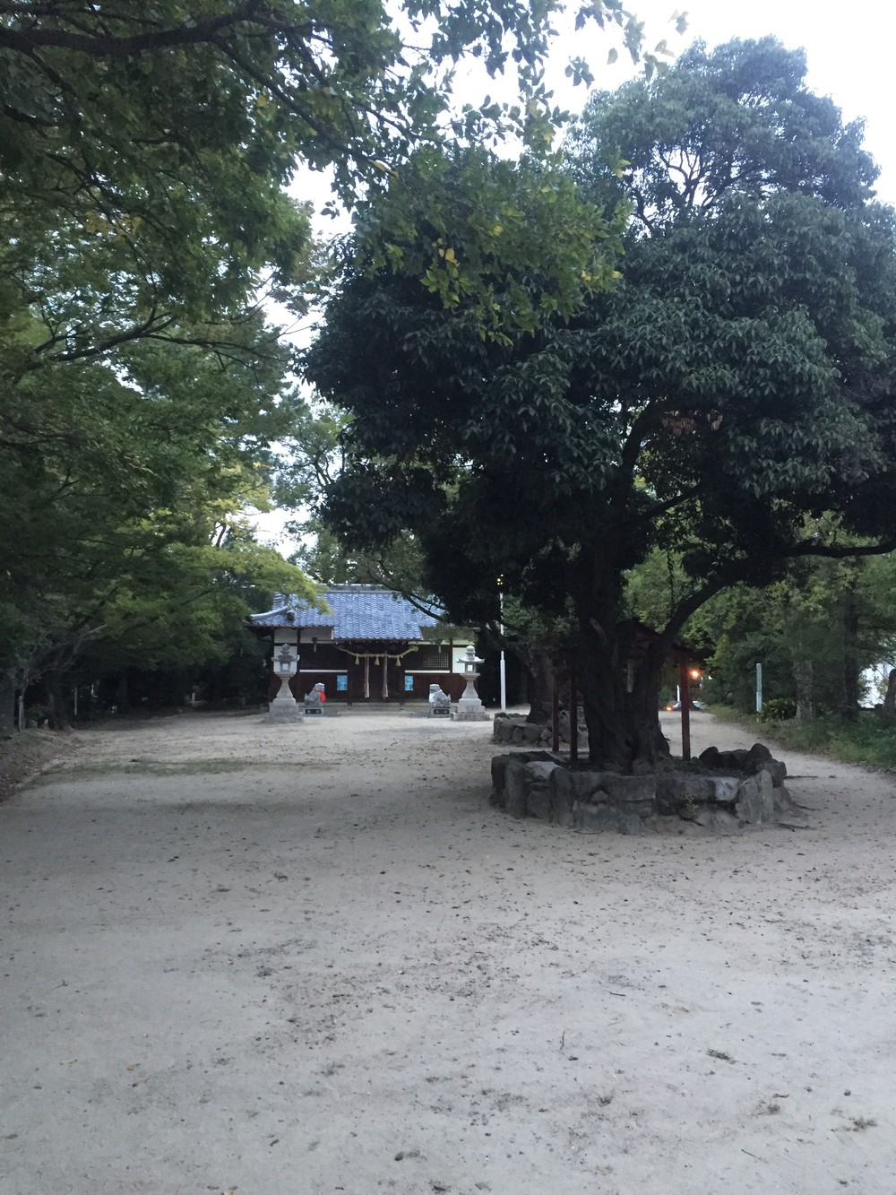 旧元茨木川の桜通りから摂津へ出て安威川を戻る15kmのコースの写真3