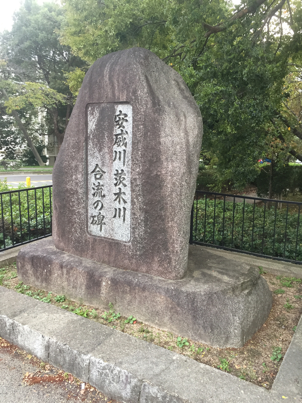 旧元茨木川の桜通りから摂津へ出て安威川を戻る15kmのコースの写真4