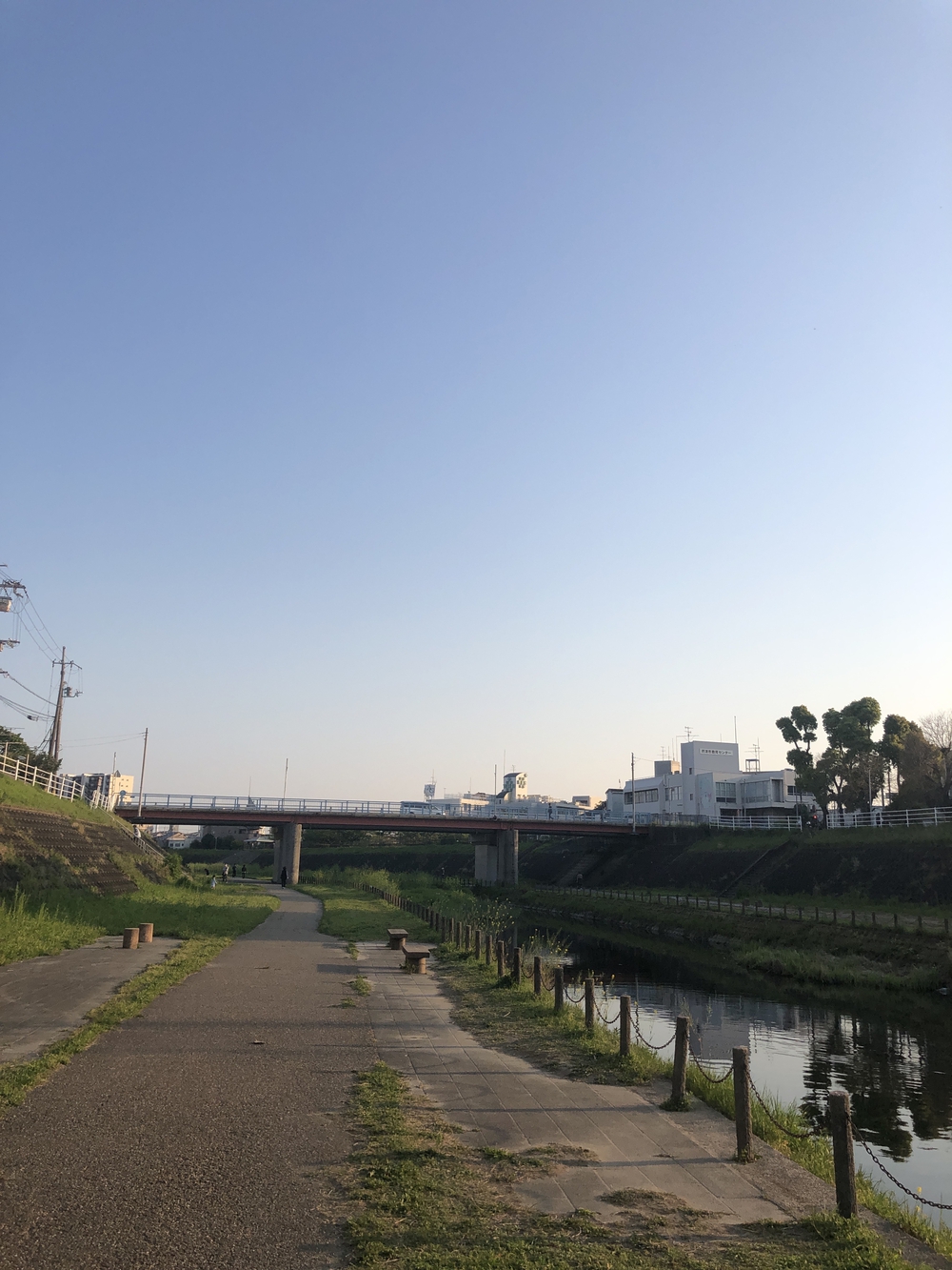 旧元茨木川の桜通りから摂津へ出て安威川を戻る15kmのコースの写真6