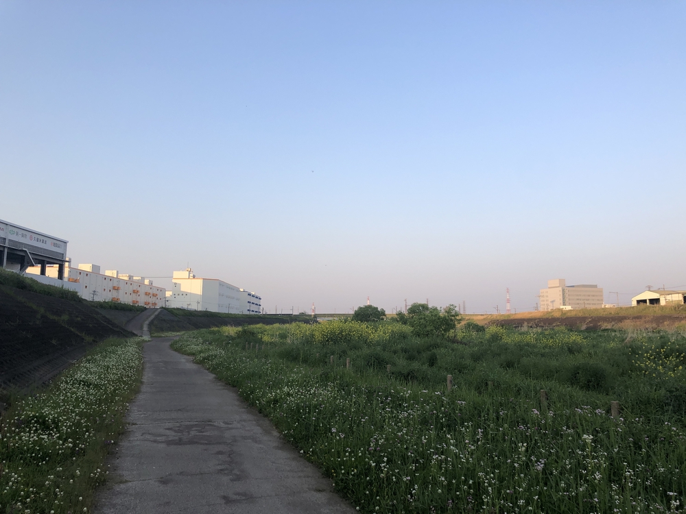 旧元茨木川の桜通りから摂津へ出て安威川を戻る15kmのコースの写真8