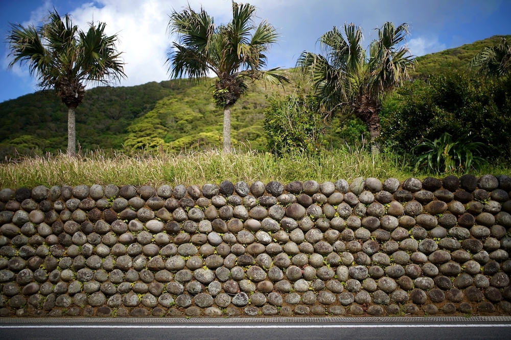 大坂トンネル展望台までの往復コースの写真3