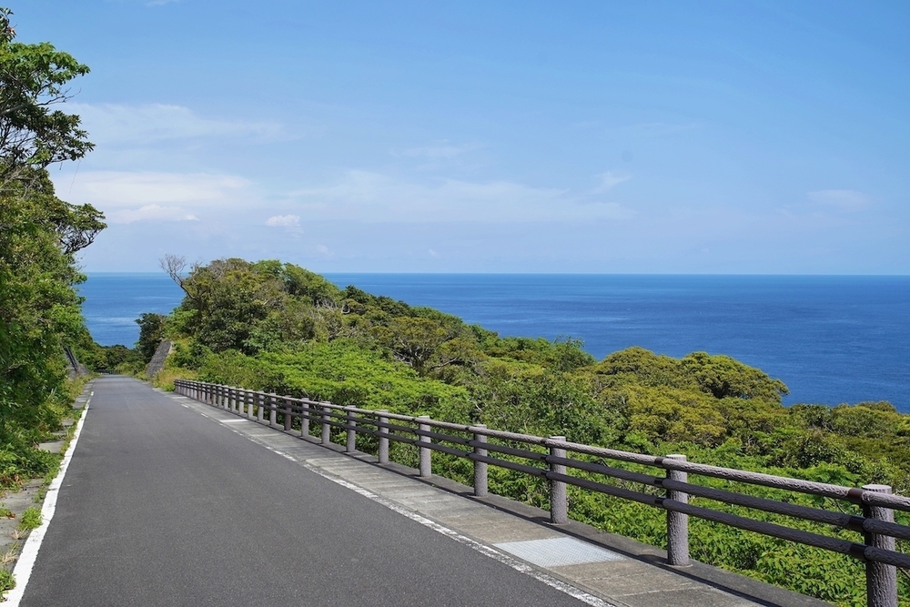 「長友ロード」の写真6