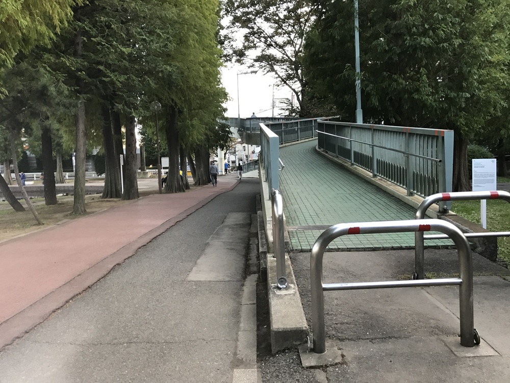 別所沼公園のメタセコイア並木〜花と緑の散歩道の写真6