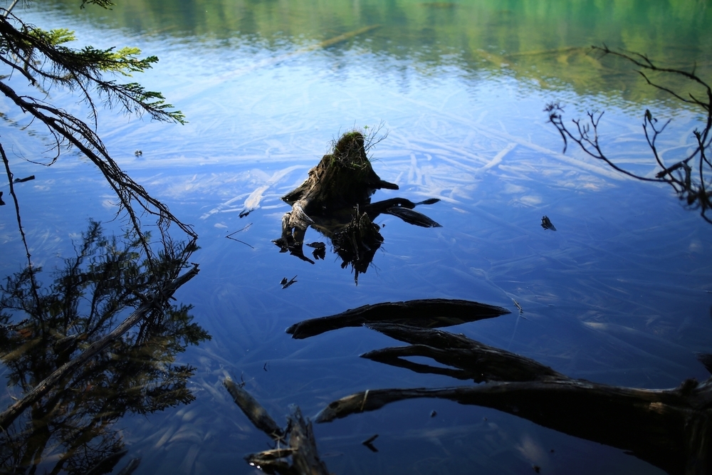 北海道三大秘湖「オンネトー」1周コースの写真3