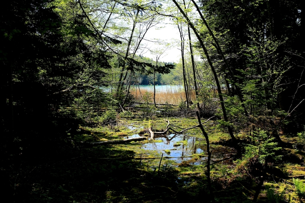 北海道三大秘湖「オンネトー」1周コースの写真4