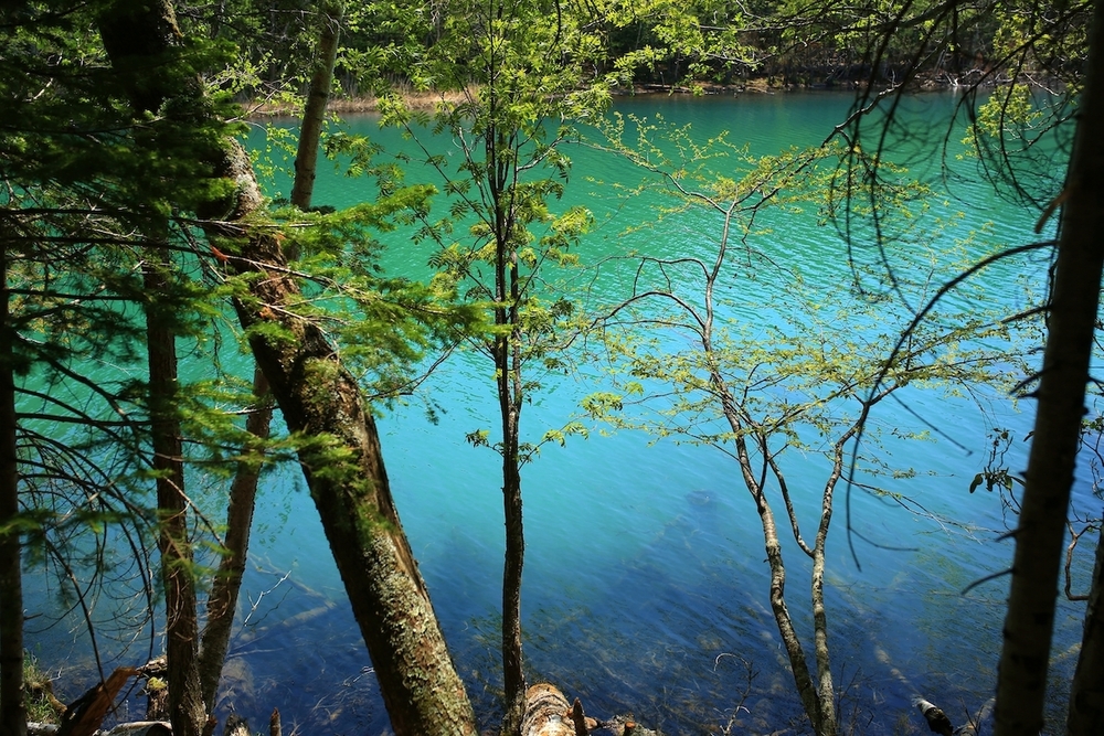 北海道三大秘湖「オンネトー」1周コースの写真5