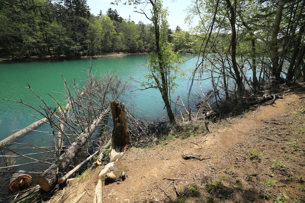 北海道三大秘湖「オンネトー」1周コースの写真6