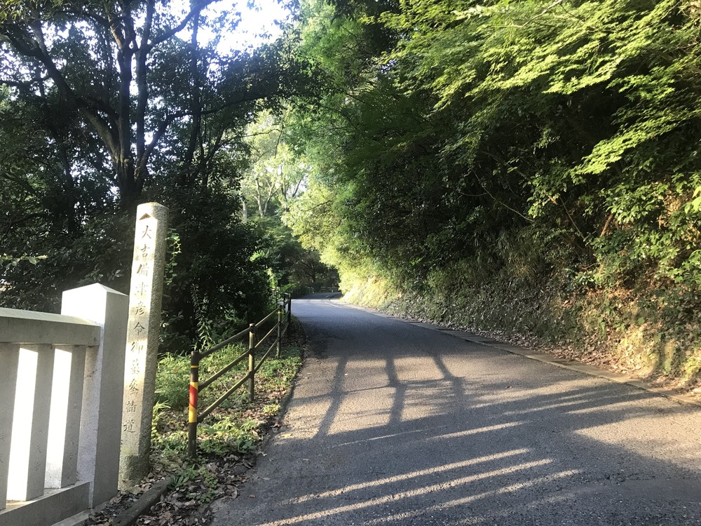 パワースポットランニングの写真4