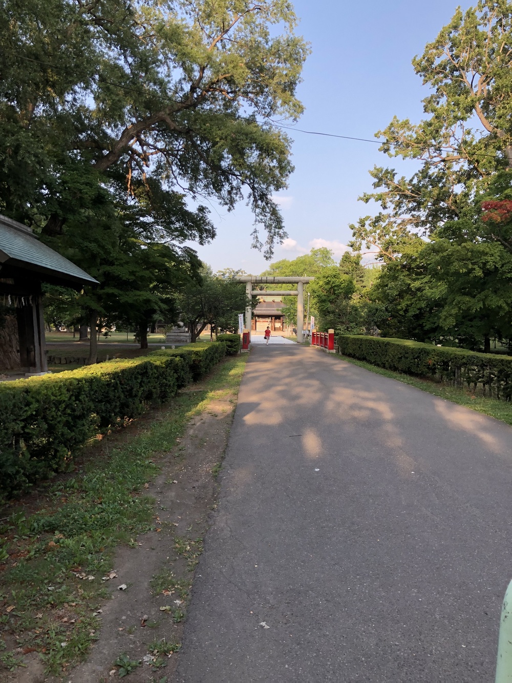 札幌出張ラン  札幌駅から中島公園 豊平川の写真3