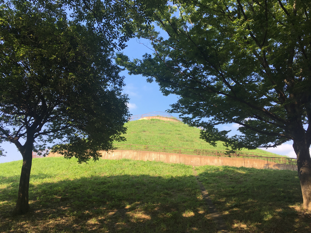 公園と緑道を巡る自然たっぷりコース！真夏のロング走におススメ☆の写真5