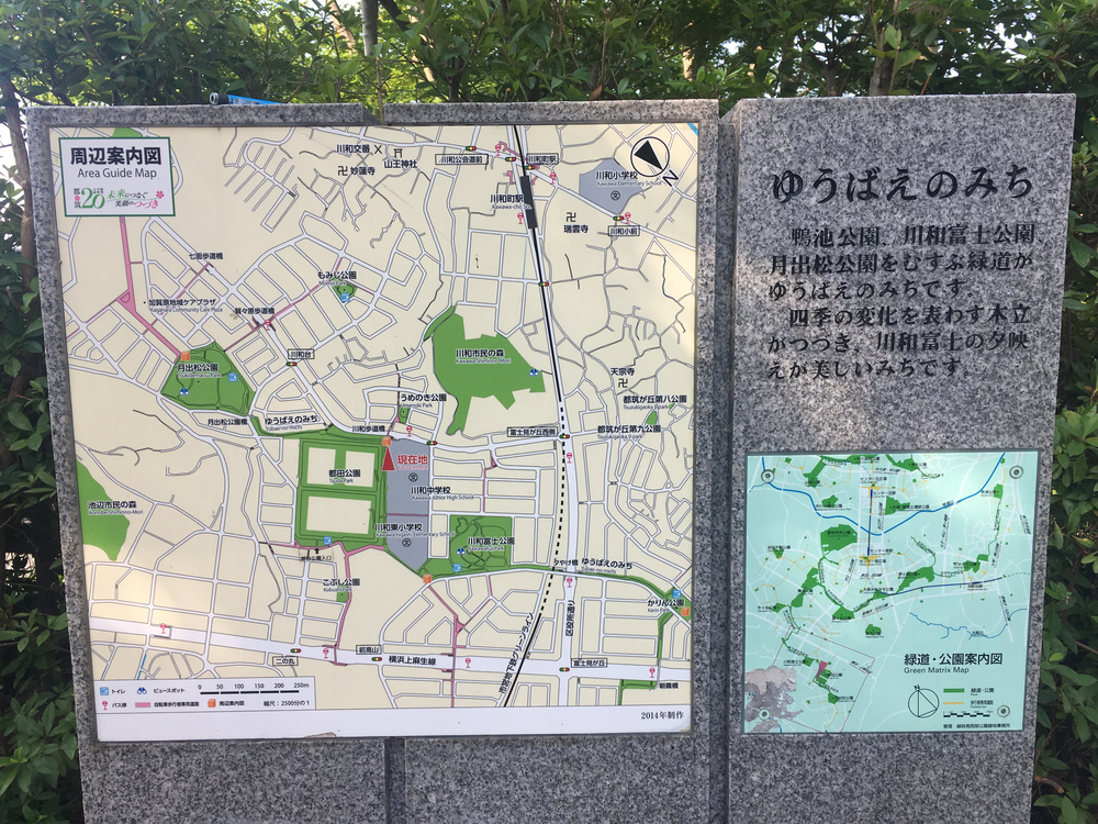 公園と緑道を巡る自然たっぷりコース！真夏のロング走におススメ☆の写真7