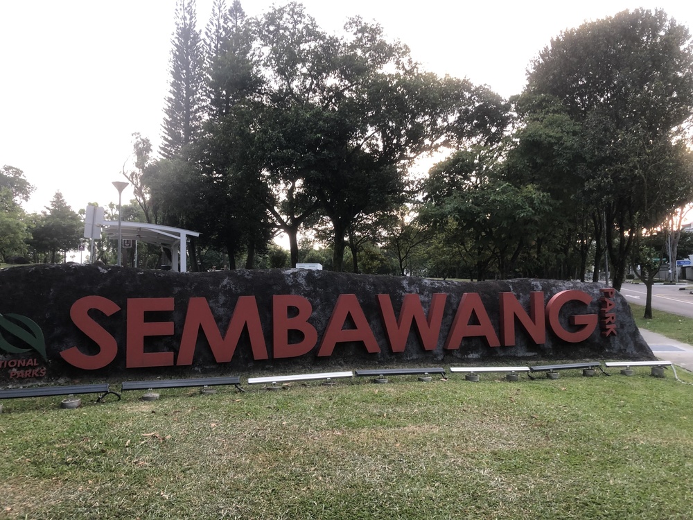 シンガポール外周Part３の写真3