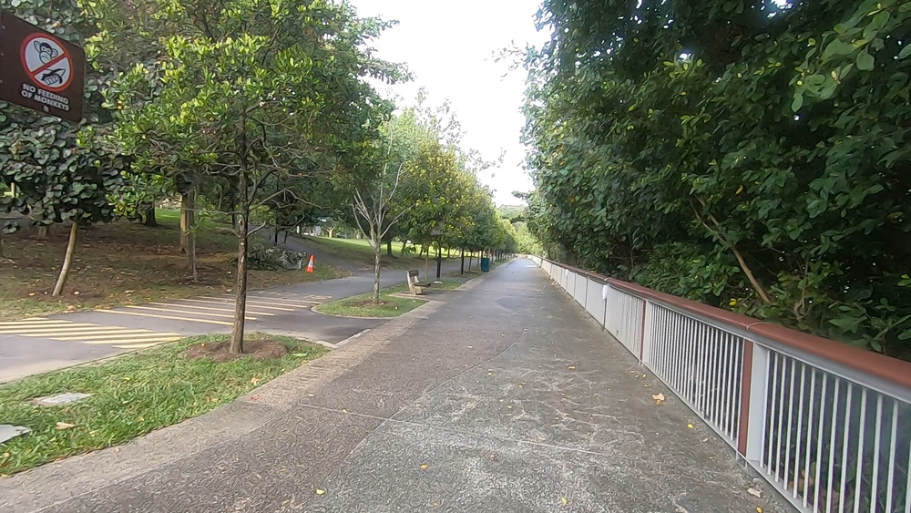 シンガポール外周Part３の写真16