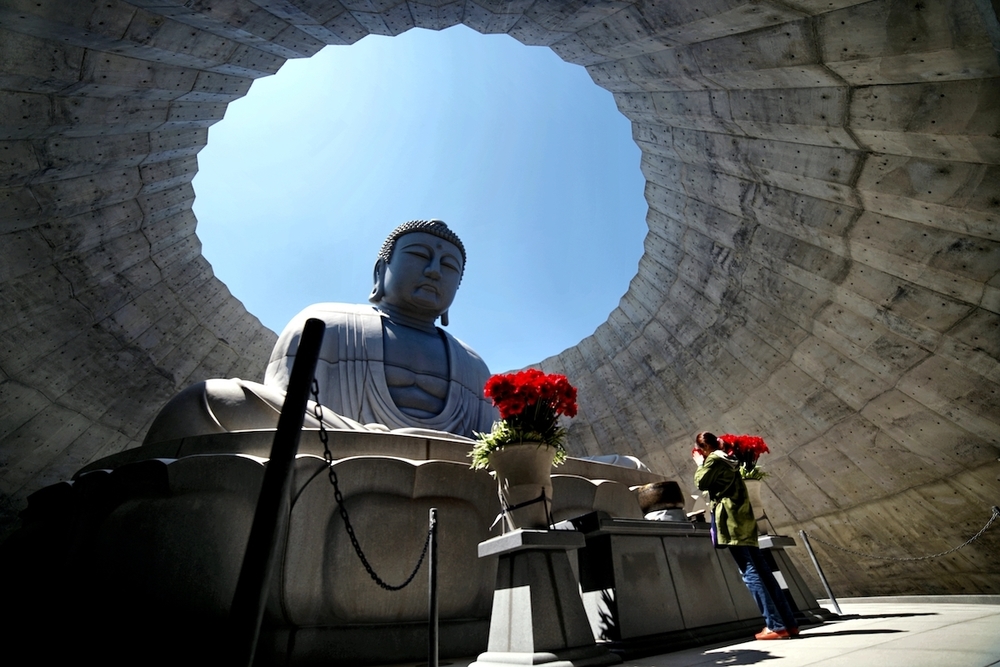 札幌の新名所・滝野霊園の写真3