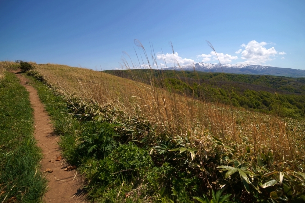 島武意海岸から見る積丹ブルーの写真7