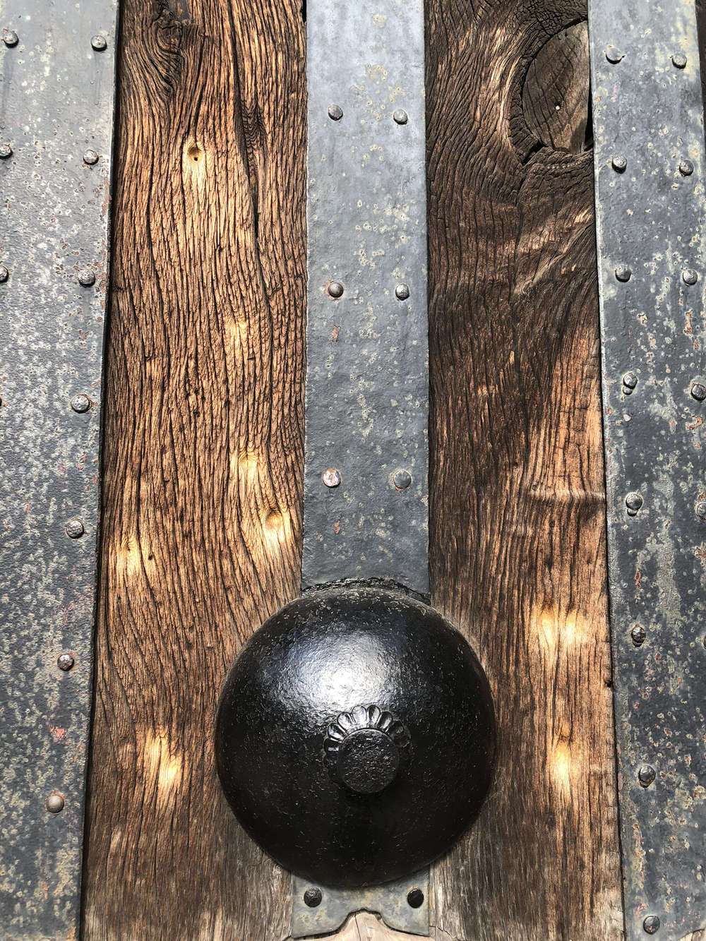 京都 幕末維新の舞台を巡るランの写真5