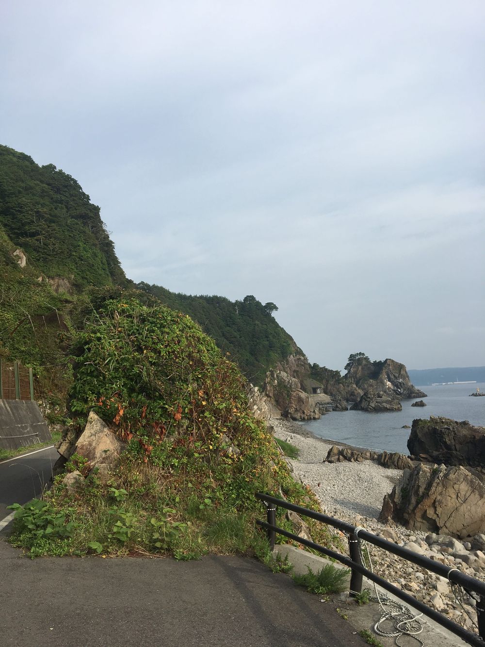 勝手にあまちゃん杯、北三陸久慈市あまちゃん街道ハーフマラソンの写真3