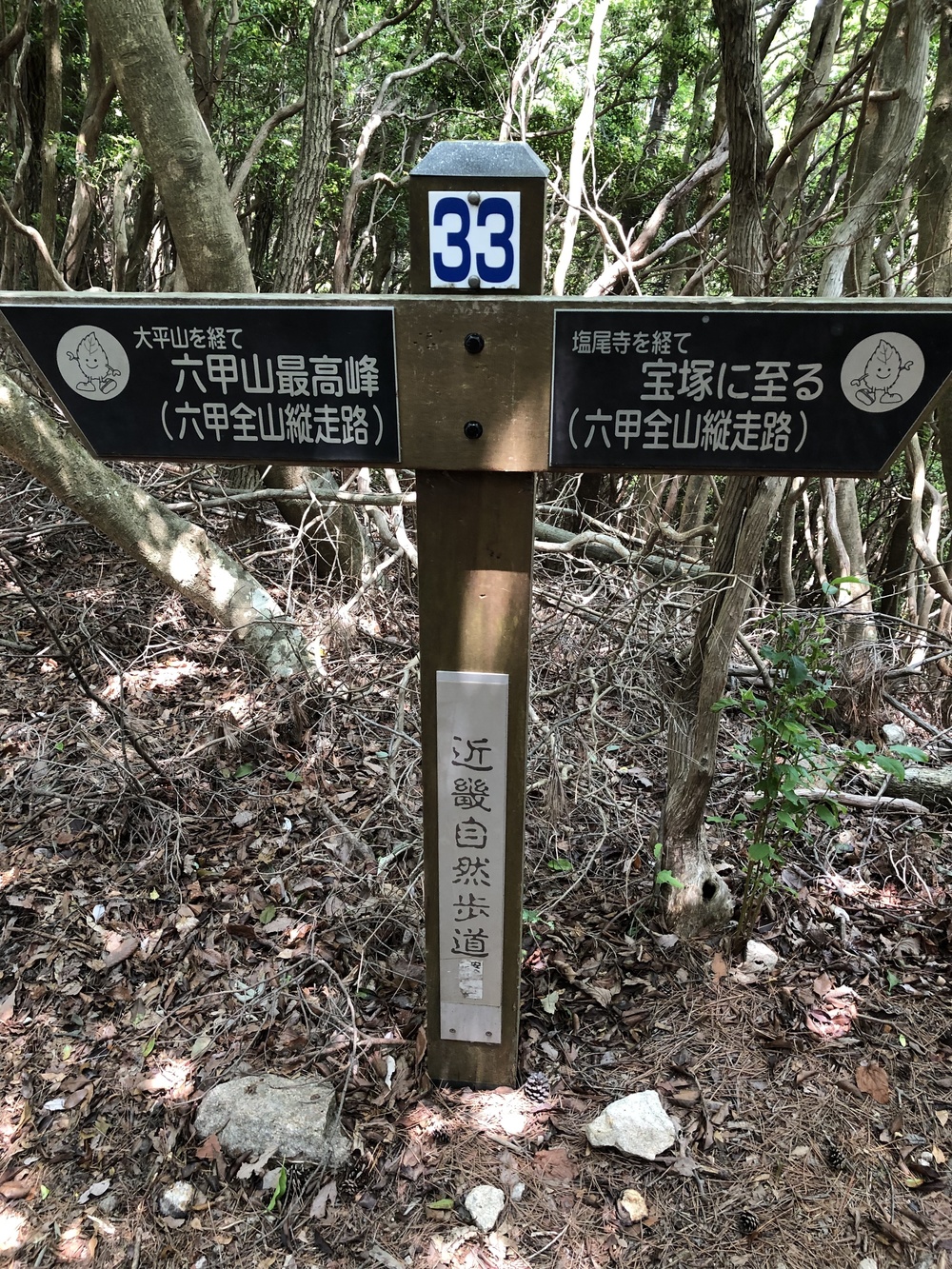 宝塚から六甲山最高峰を経て有馬温泉の写真5