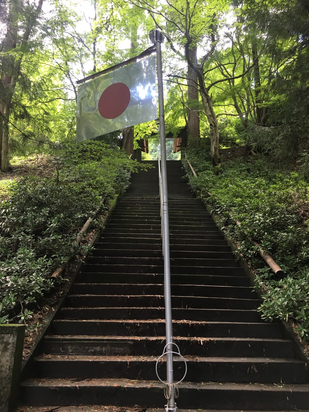 Mt.Takamizu Trail Running 17.5kmの写真4