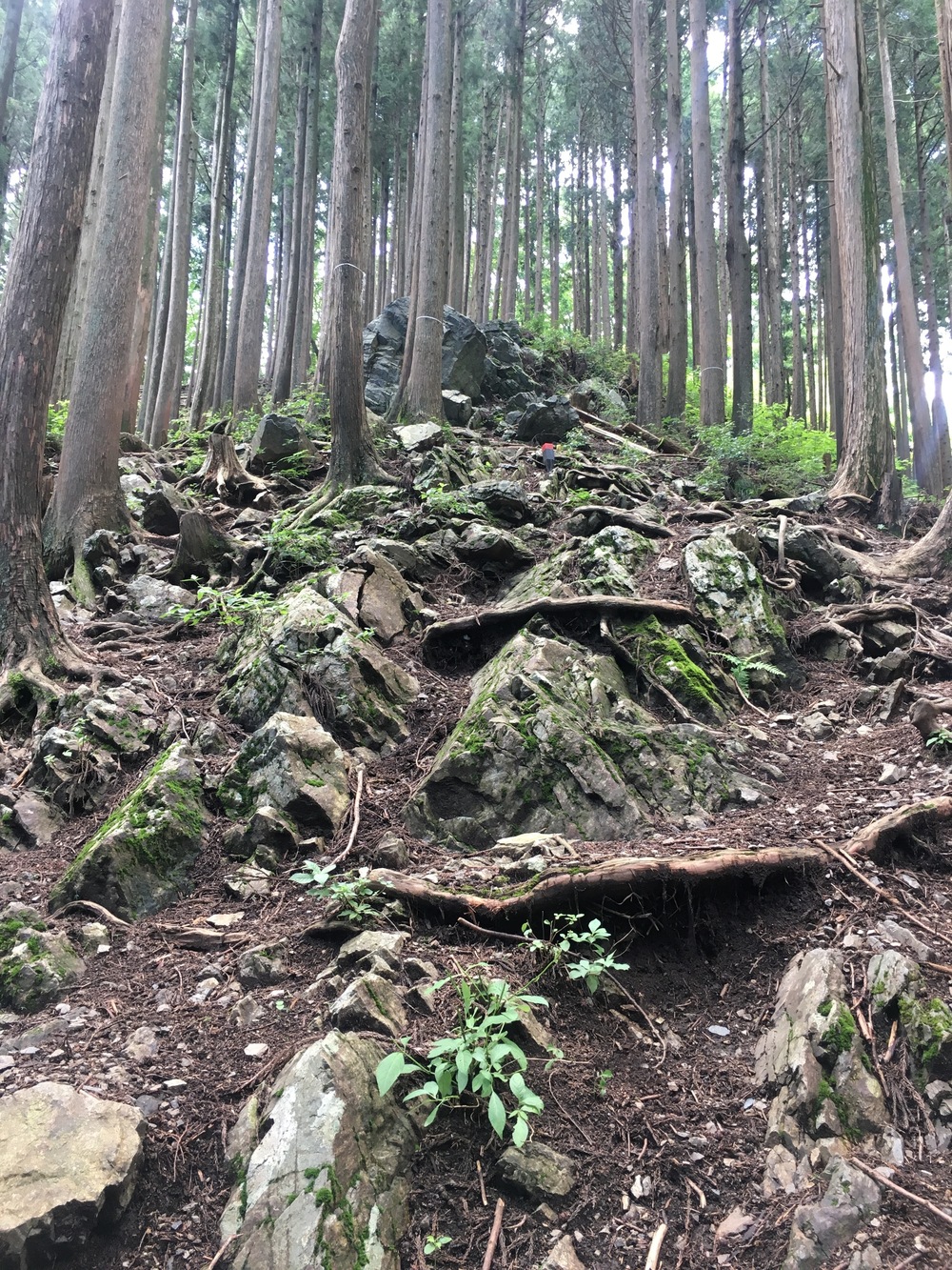 Mt.Takamizu Trail Running 17.5kmの写真7