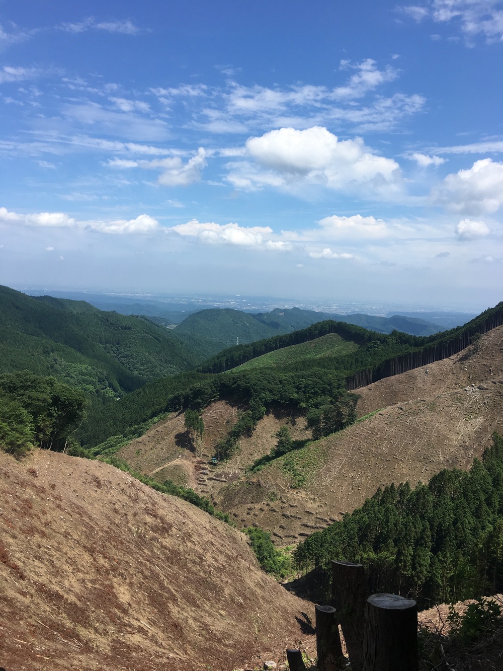 Mt.Takamizu Trail Running 17.5kmの写真9