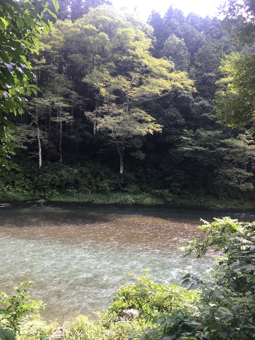 Mt.Takamizu Trail Running 17.5kmの写真10