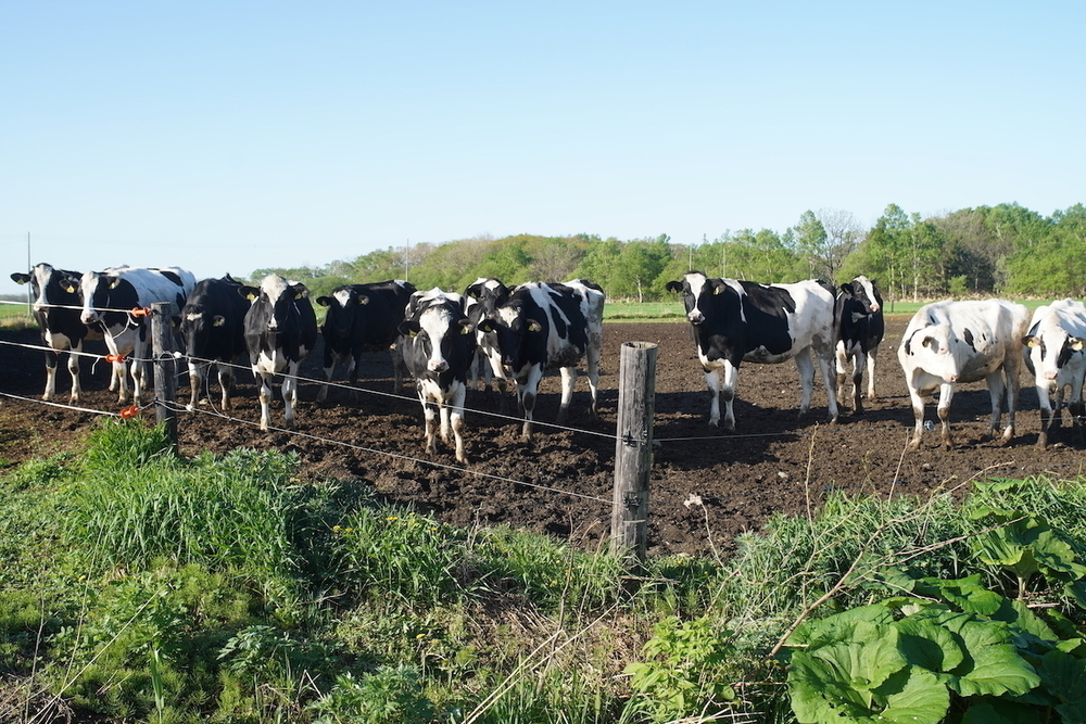 幌延町「秘境駅」巡りコース①の写真11