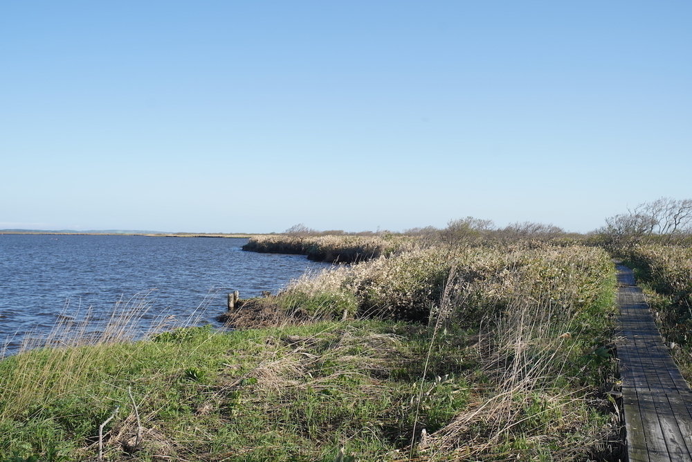 幌延町「秘境駅」巡りコース①の写真12