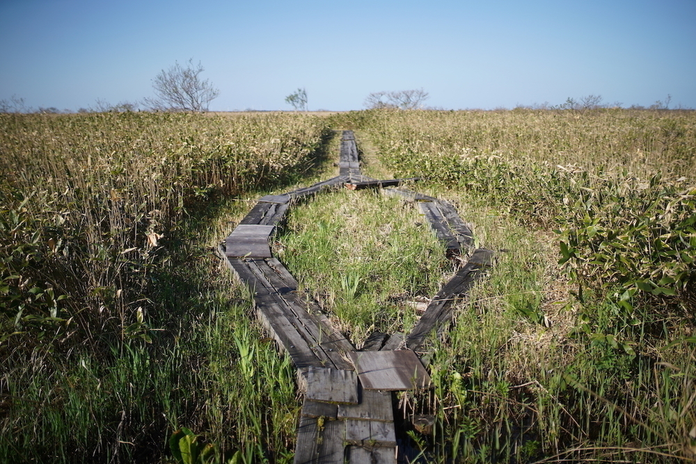 幌延町「秘境駅」巡りコース①の写真13