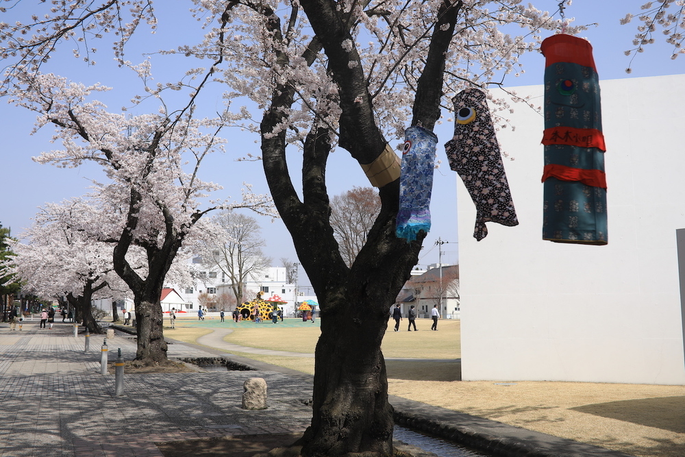 官庁街通り駒街道の自然と現代アートの融合の写真8