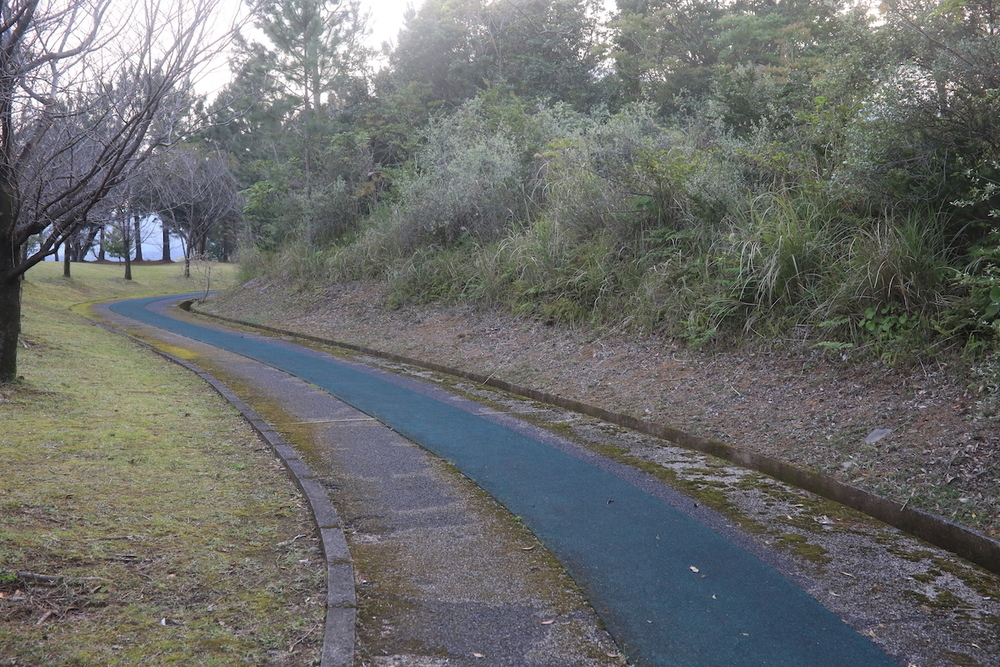 屋久島・健康の森公園陸上競技場の写真5