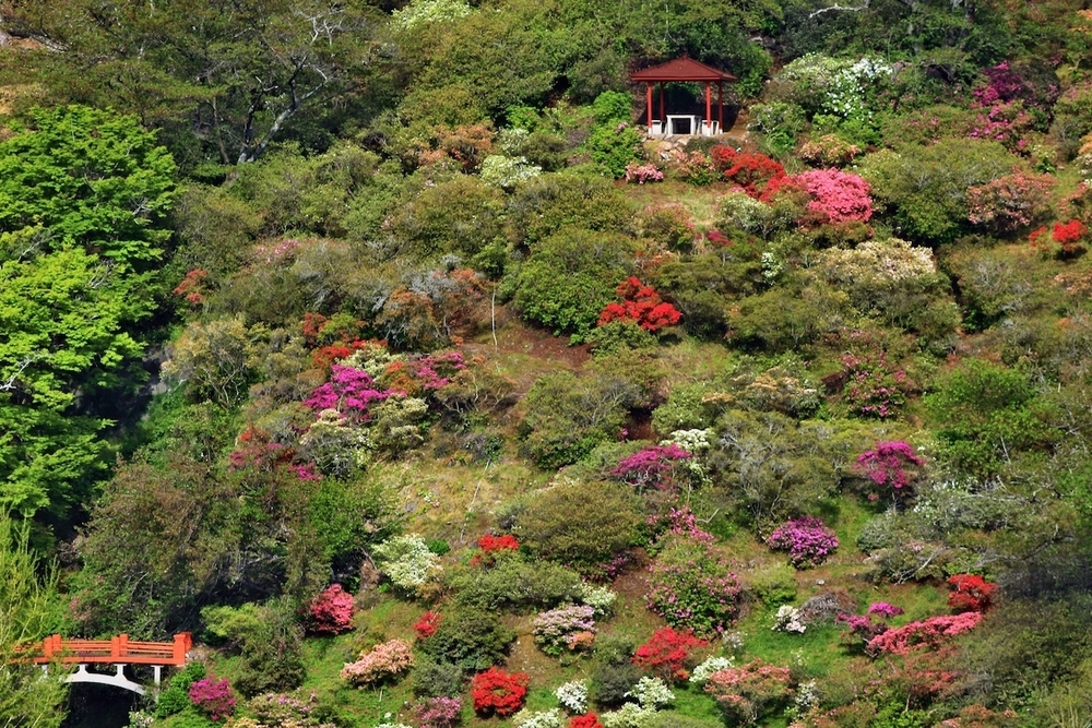 日本三大稲荷「祐徳稲荷神社」と「大魚神社の海中鳥居」の写真4