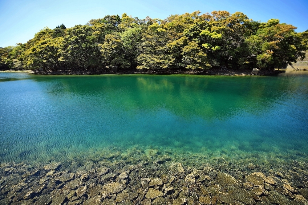 カトリック堂崎天主堂シーサイドコースの写真5