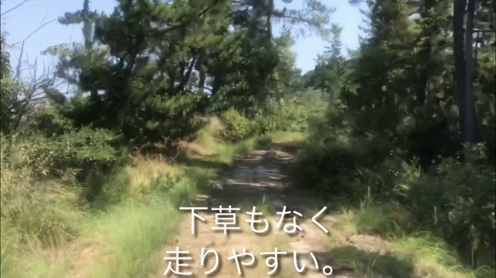 地元しか知らない！鳥取砂丘付近の絶好ジョギングルートの写真11