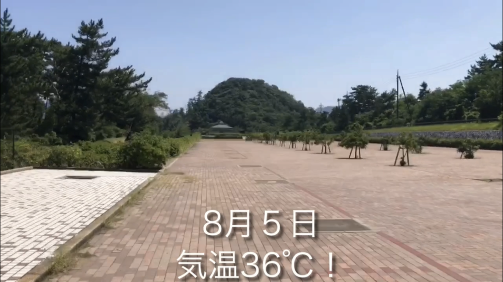 地元しか知らない！鳥取砂丘付近の絶好ジョギングルートの写真13