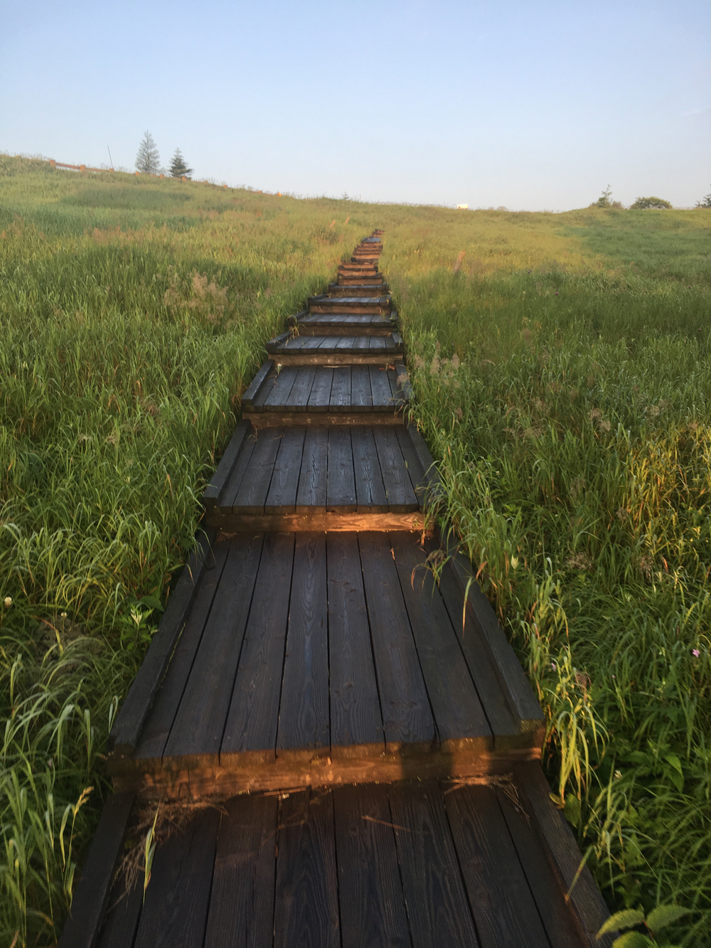 標高が高いの写真5