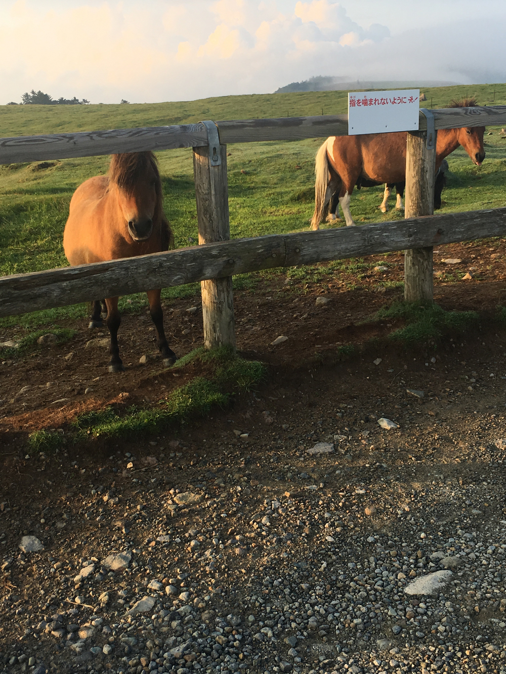 標高が高いの写真8