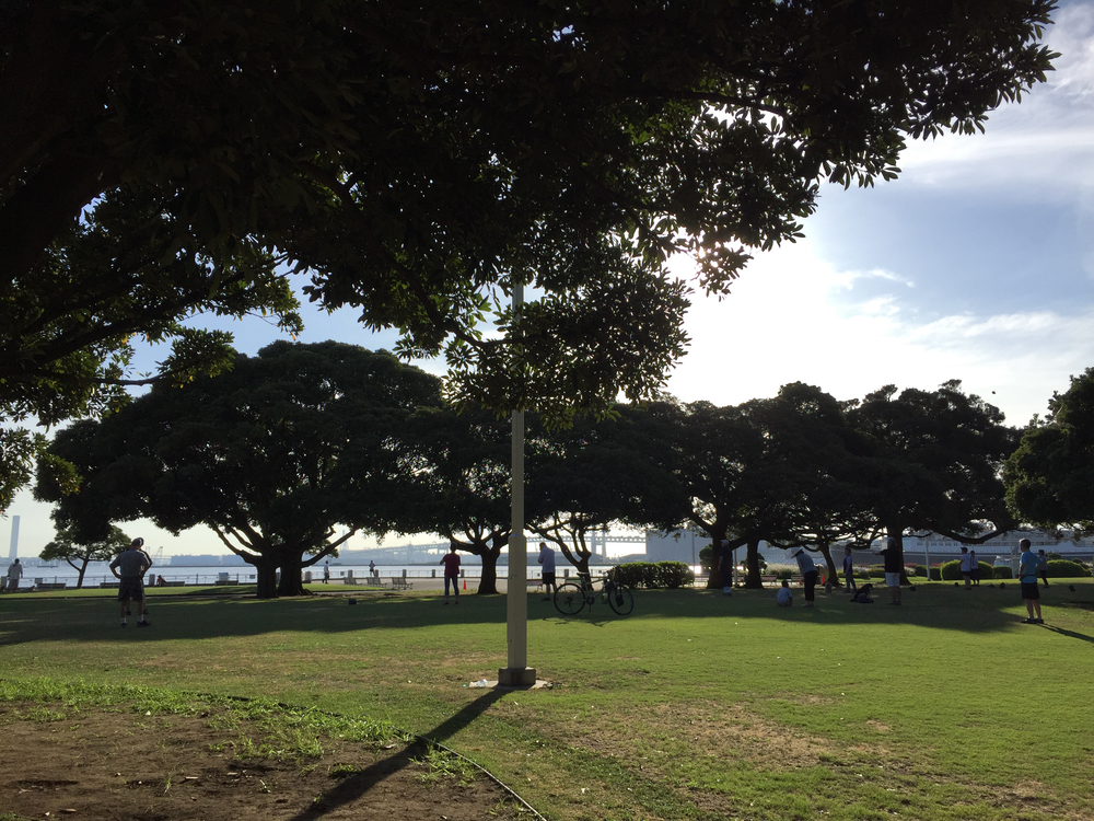 横浜名所駆け足ハーフの写真5