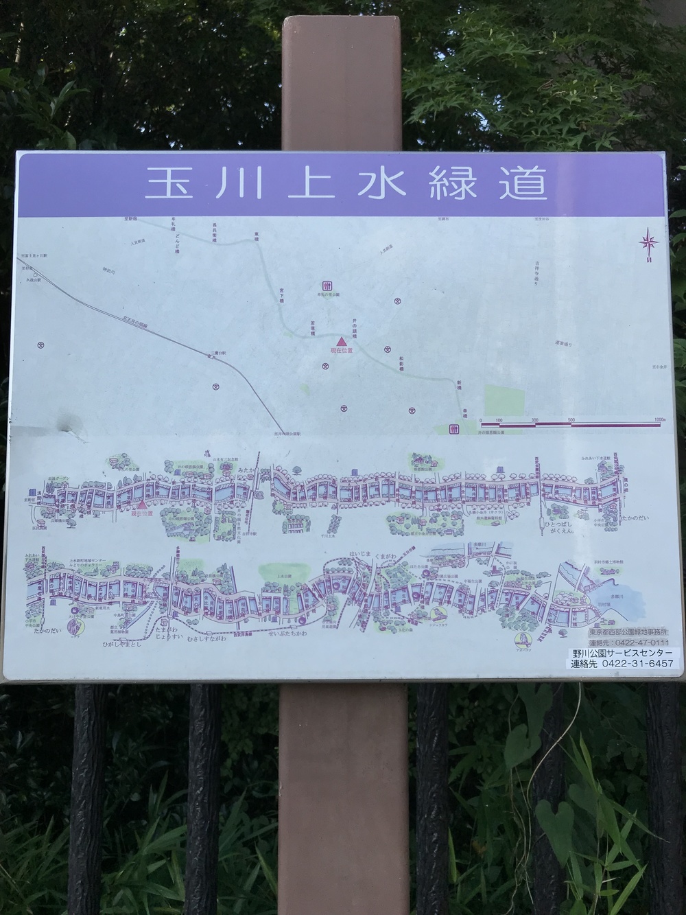 吉祥寺 トレイル&ロード 9kmの写真3