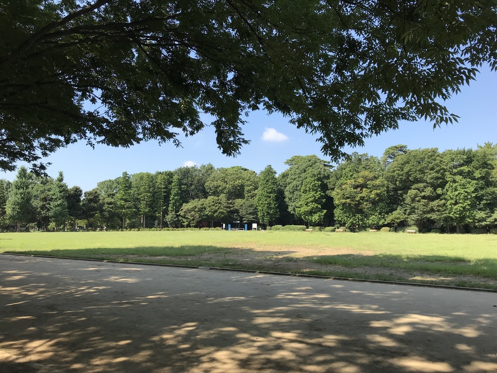 吉祥寺 トレイル&ロード 9kmの写真4