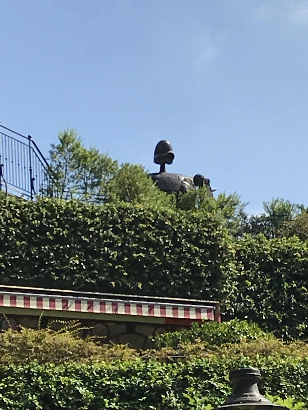 吉祥寺 トレイル&ロード 9kmの写真6