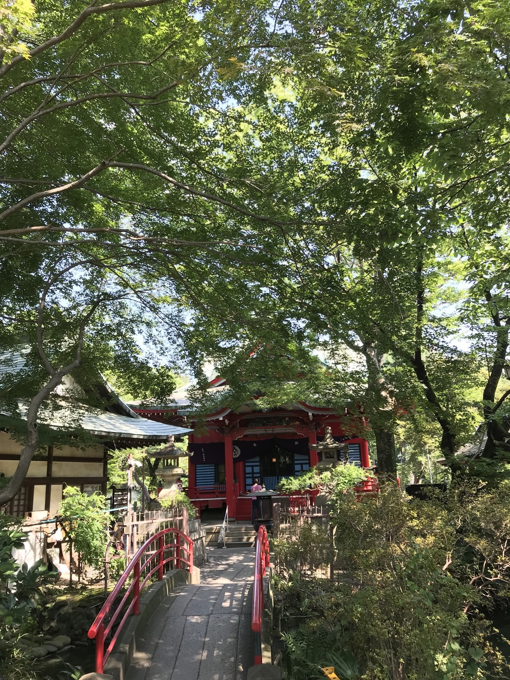 吉祥寺 トレイル&ロード 9kmの写真8